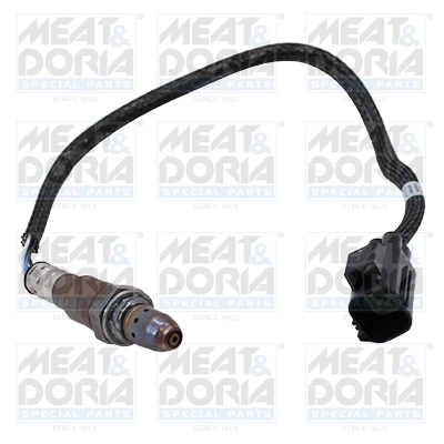 Oxygen Sensor